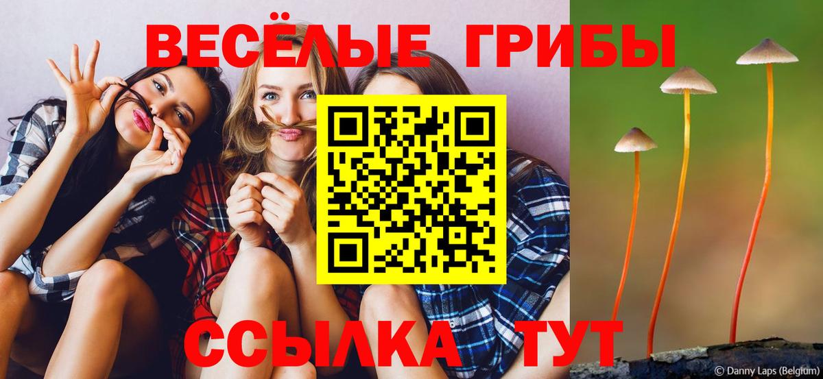 Псилоцибиновые грибы Cubensis  купить   Гуково  Псилоцибиновые грибы Magic Shrooms  Вход с VPN 